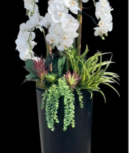 Tall Artificial White Orchid Display, 175cm in Plastic Planter